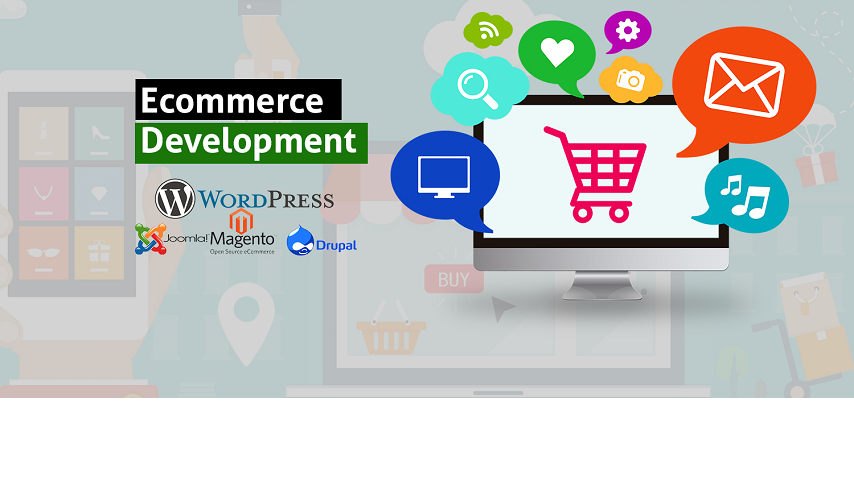 Ecommerce Web Design