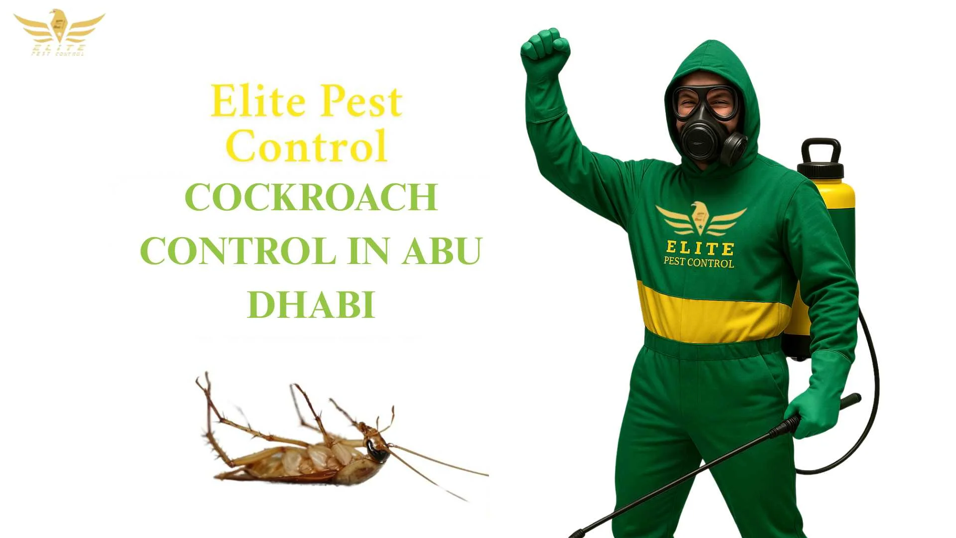 COCKROACH CONTROL IN ABU DHABI