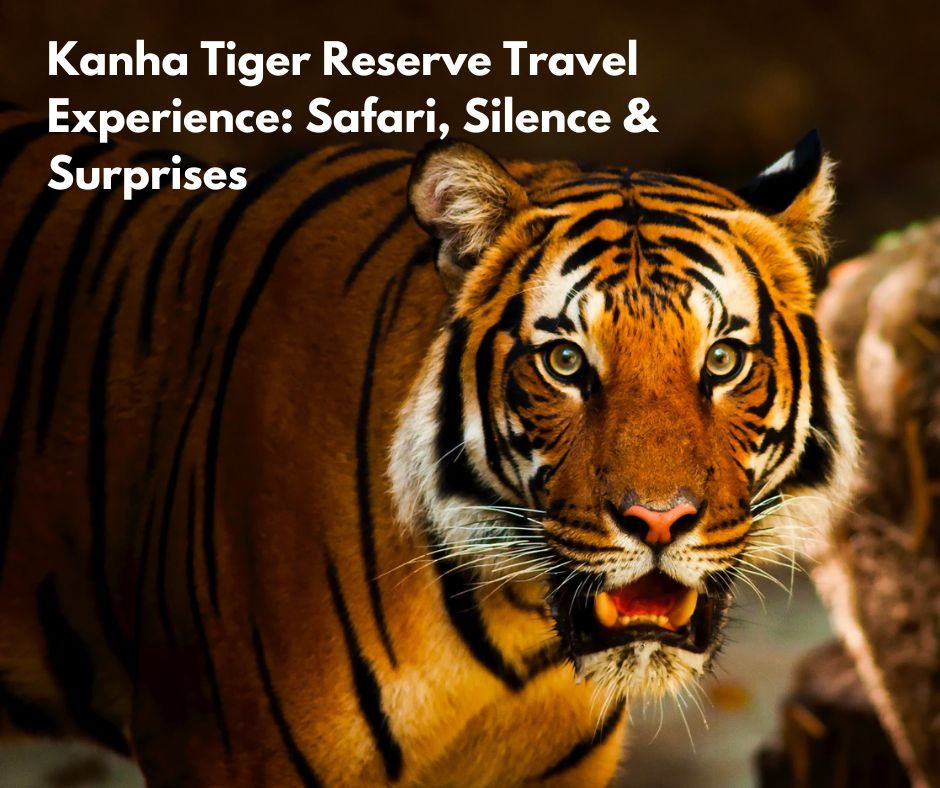 Kanha Tiger Reserve Travel Experience Safari, Silence & Surprises