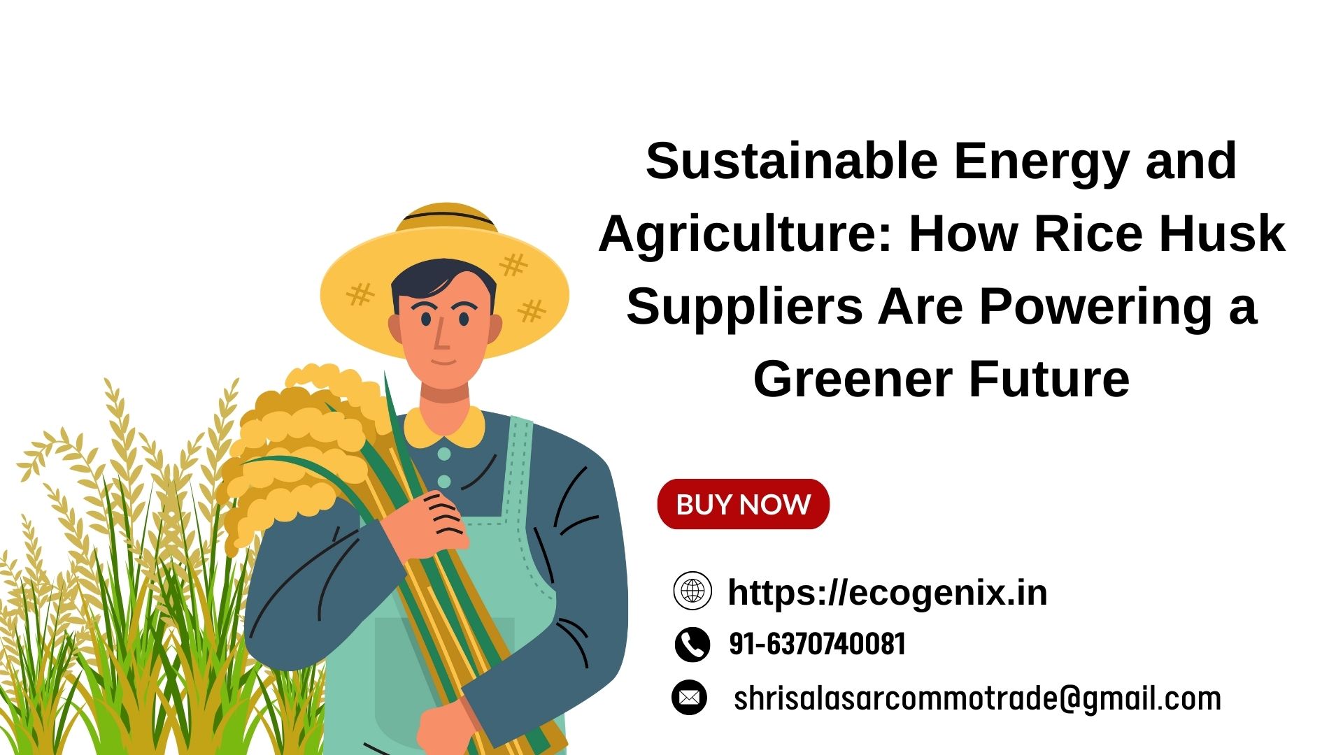 Sustainable Energy and Agriculture How Rice Husk Suppliers Are Powering a Greener Future