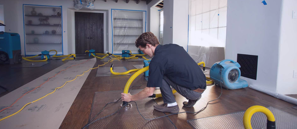 Water Damage Restoration Services Fix Mold