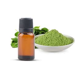moringa oil manufacturers