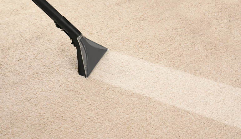 Water Extraction Carpet Cleaning Near Me