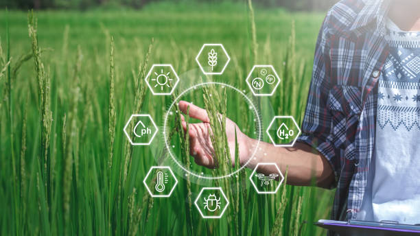 Crop risk management