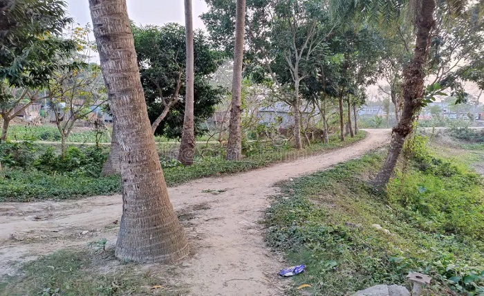 village good morning nature images