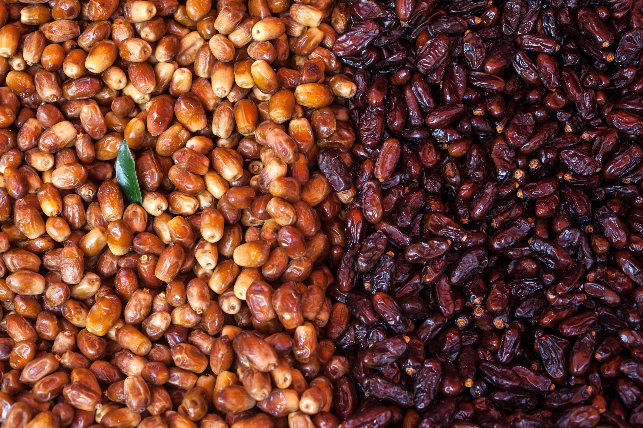 Best Date Recipes for Healthy Snacking