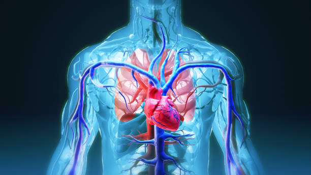 Vescular Surgery in Riyadh