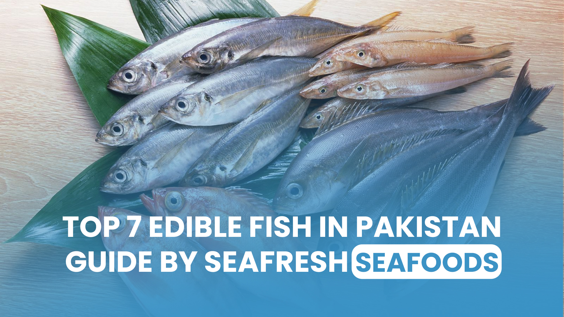 A Seafood Lover's Guide by Seafresh Seafoods
