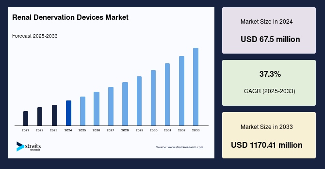Renal Denervation Devices Market