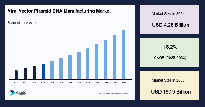 Viral Vector Plasmid DNA Manufacturing Market