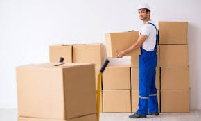 moving company in Anoka, MN