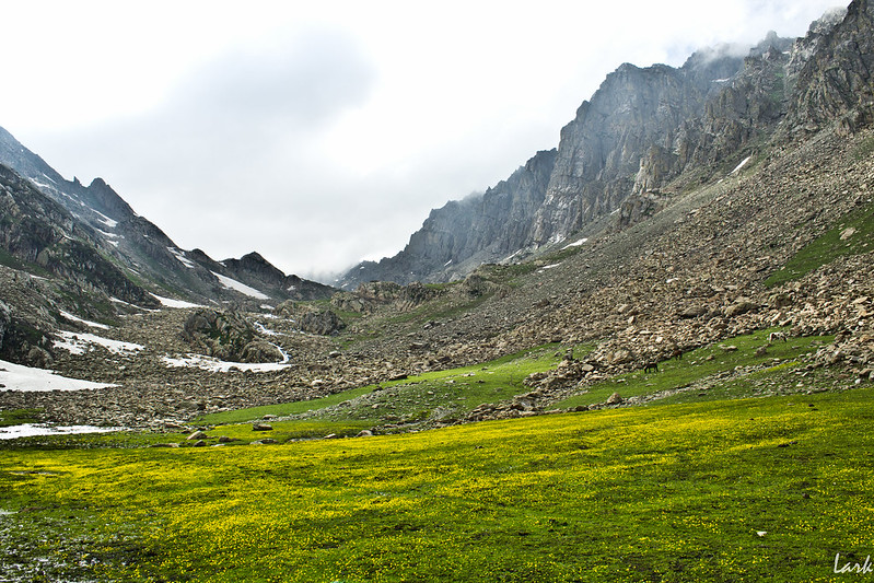 a beautiful view of lush meadows with backdrop of stunning mountains which takes you through the beautiful valleys of kashmir great lakes trek.