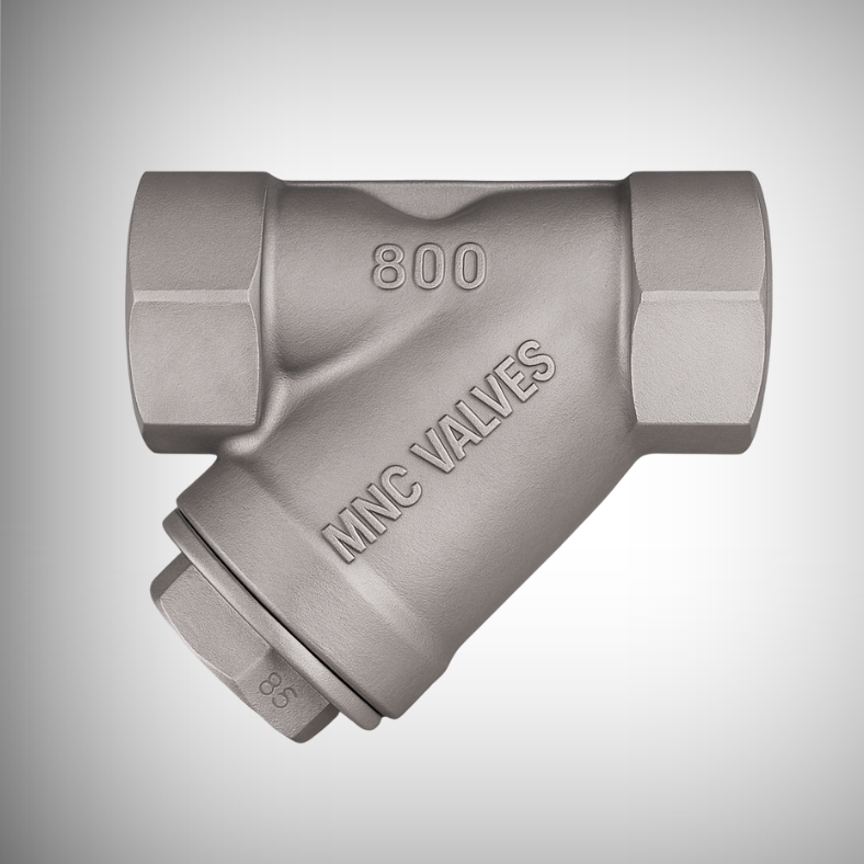 Strainers Valve Manufacturers in Ahmedabad, India | MNC Valves