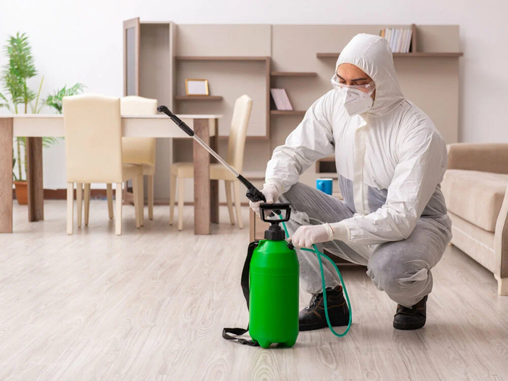Exterminator in protective suit preparing green sprayer for indoor pest control treatment in modern apartment.