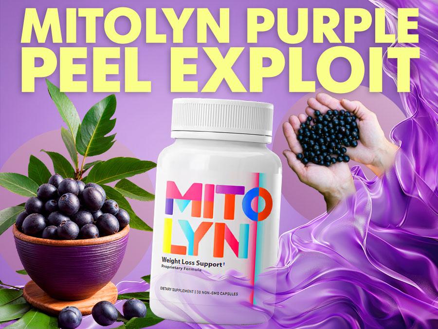Mitolyn fat burner 