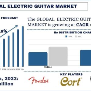 Electric Guitars Market
