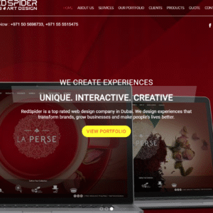 Experience Digital Perfection with RedSpider Web & Art Design – Leaders in Web Design Dubai