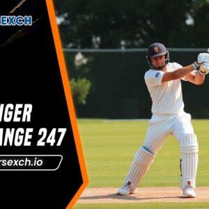 Tiger Exchange 247
