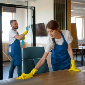 Top Cleaning Services Atlanta GA, Professional Cleaning Services Georgia