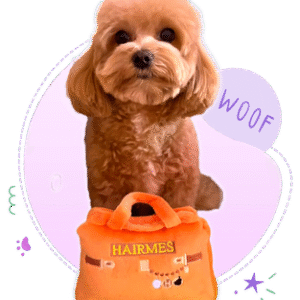 Plush dog bag toy Dubai