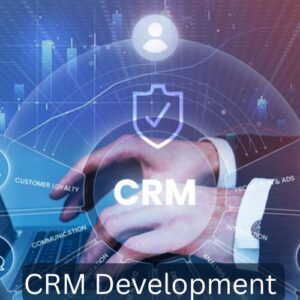 Custom Software Development