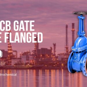 CS / WCB Flanged Gate Valve Manufacturers– Specifications, Applications | MNC VALVES