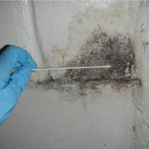 Mold Testing Nassau County NY, Home Inspection Nassau County NY