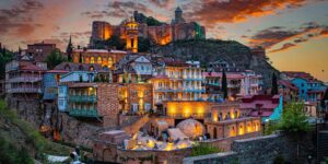 georgia visa tracking