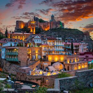 georgia visa tracking