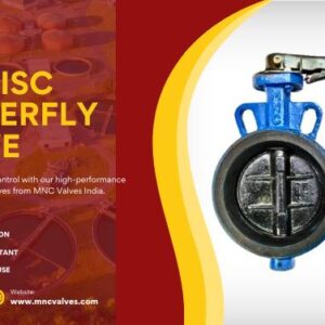SGI Disc Butterfly Valve Manufacturer in Ahmedabad, India – MNC VALVES
